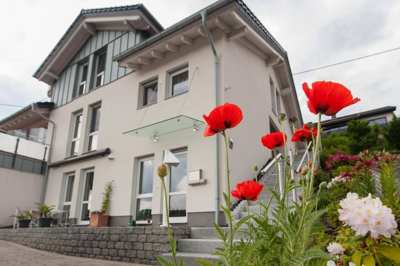 Wohnung Mit Talblick, Ladestation E-Auto Siegen Exteriör bild